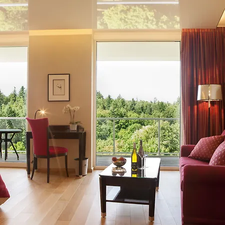 Hotel Schwitzer's Am Park 4*