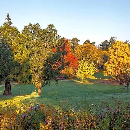 Schwitzer's Am Park 4* Waldbronn